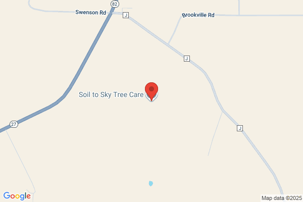 Doug's Tree Shrub & Lawn Care