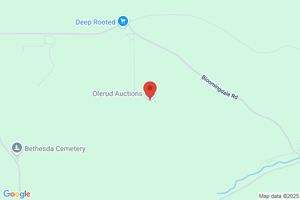 Olerud Gary Auctioneer