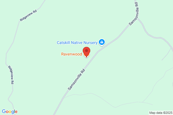 Ravenwoods