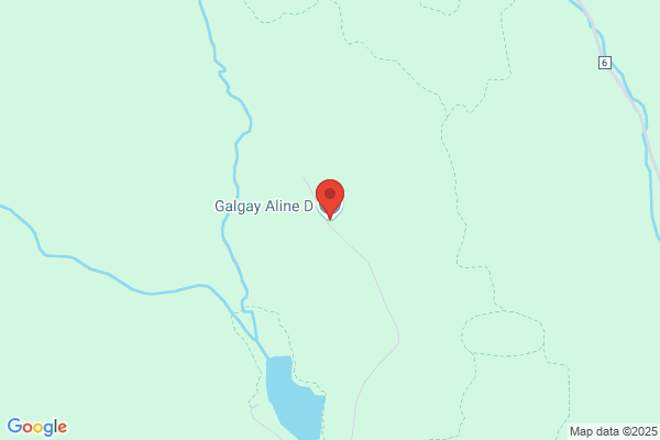 Galgay Aline D Attorney