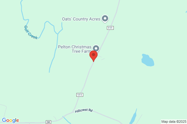 Pelton Contracting