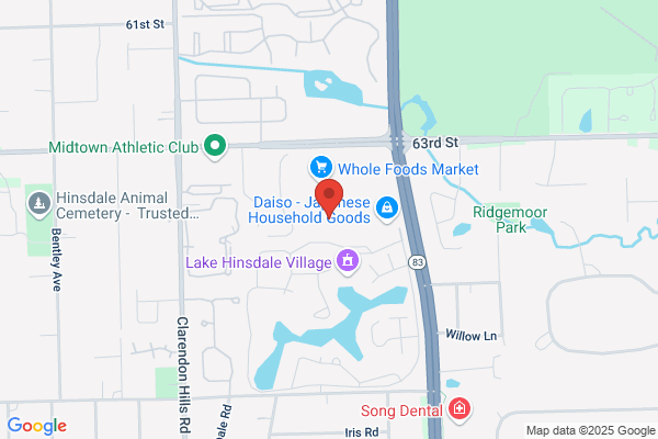 Dentists of Hinsdale Lake