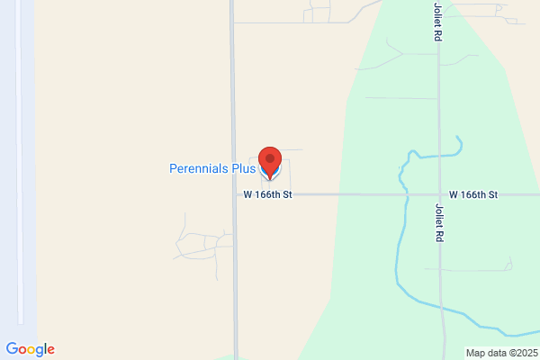 Perennials Plus
