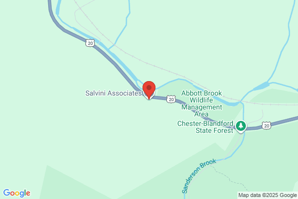 Salvini Associates
