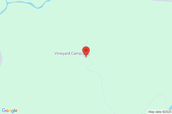 The Vineyard Camp