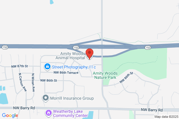Amity Animal Hospital