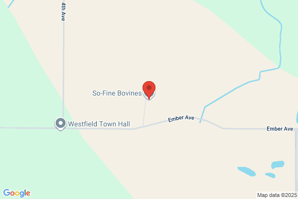 So-Fine Bovines Llc