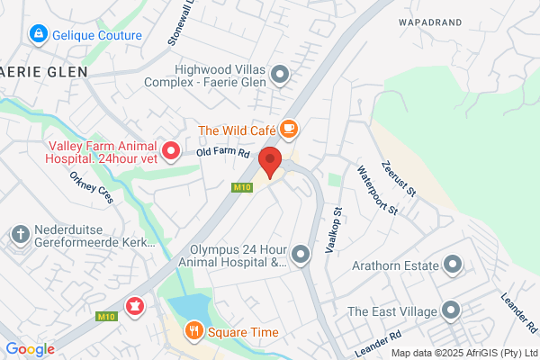 Village Glen Cleaners