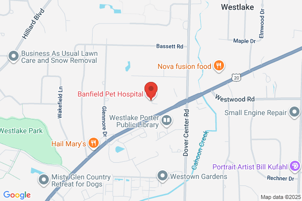 Banfield Pet Hospital