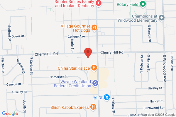 Family Dollar Store Inc