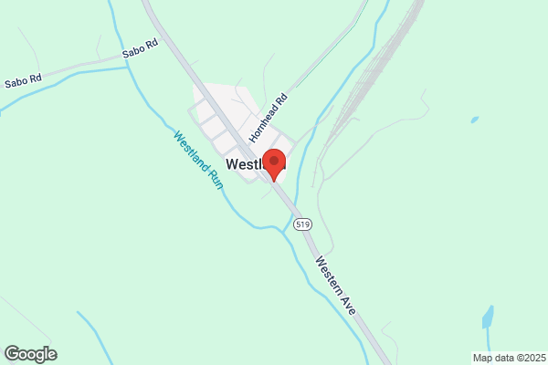 Westland Discount Muffler