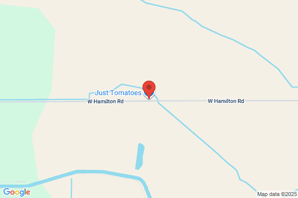 Just Tomatoes