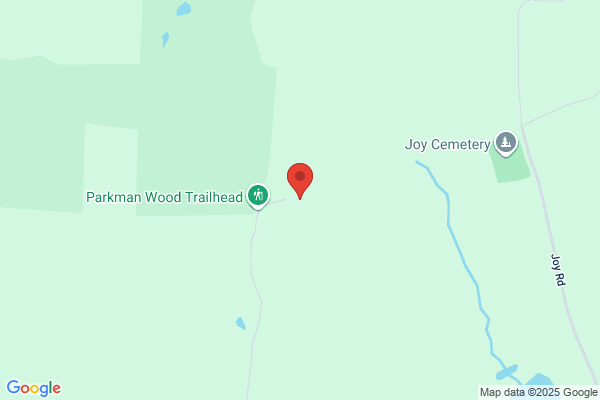Fitzgerald Wm J Land Surveyor