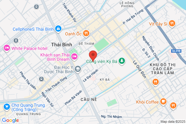 Thai-Binh Insurance Agency