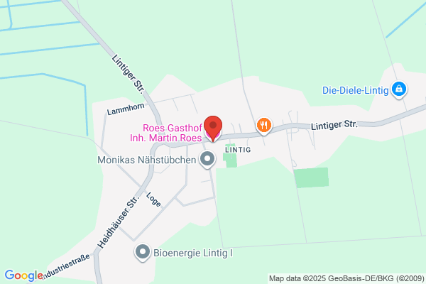 Roes Internet