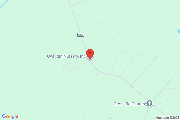 Silver Run Nursey Inc