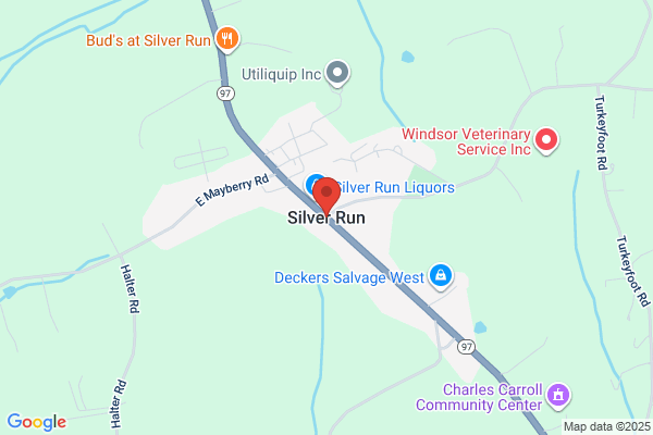 The Silver Run Station