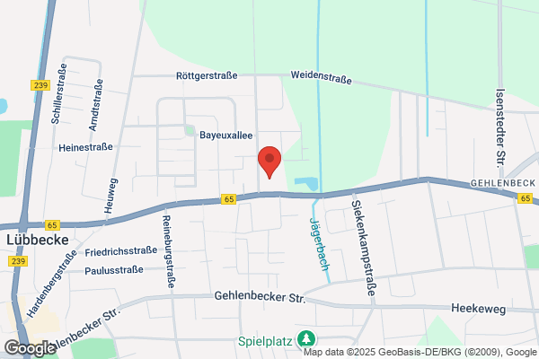 Janowitz Robert A MD