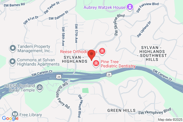 Raymond James Financial Services Inc