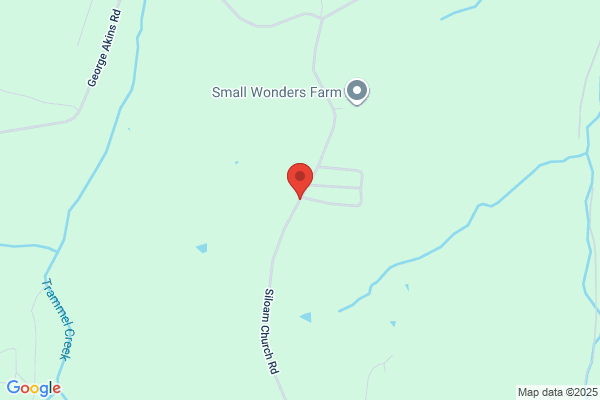 Pinewood Mobile Home Village