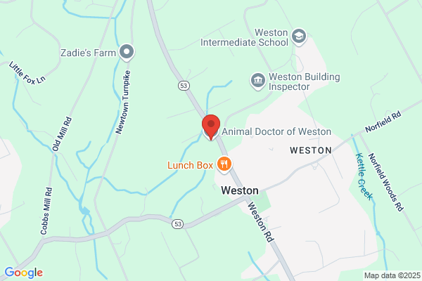 Animal Doctor of Weston