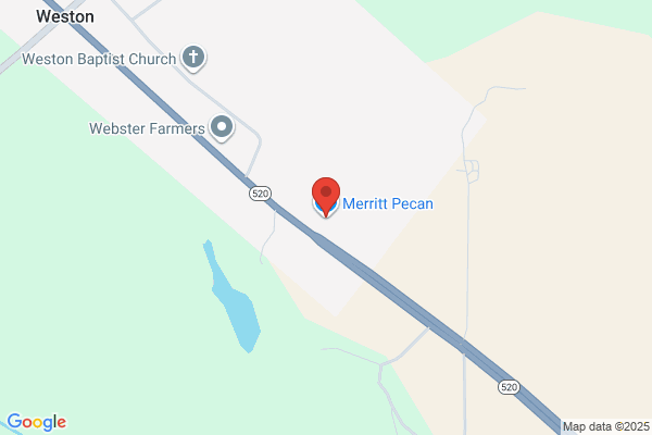 Merritt Pecan
