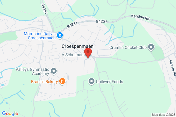 Schulman A Inc