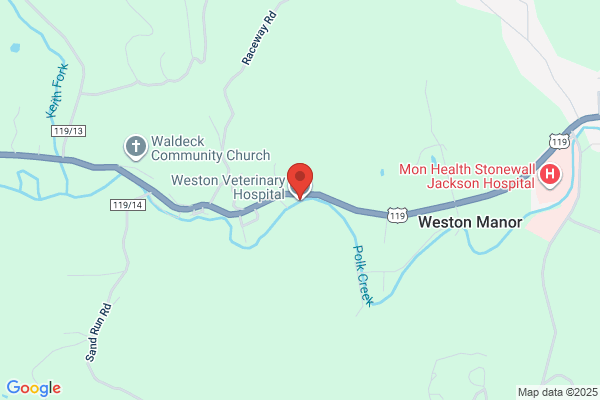 Weston Veterinary Hospital
