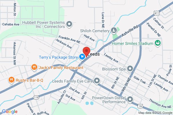Guardian Systems Inc