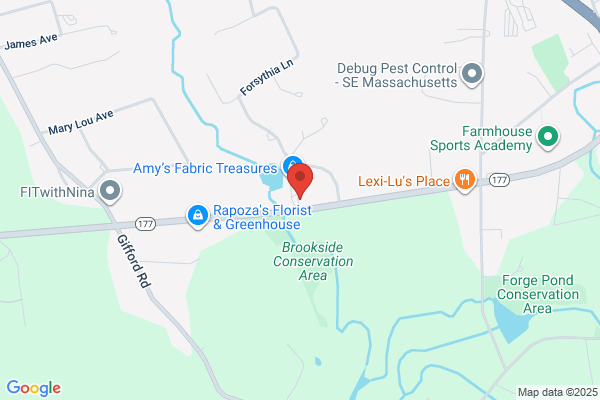 Nadeau Tree Service