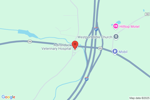Adirondack Veterinary Hospital