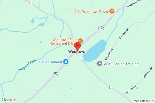 Westtown Video