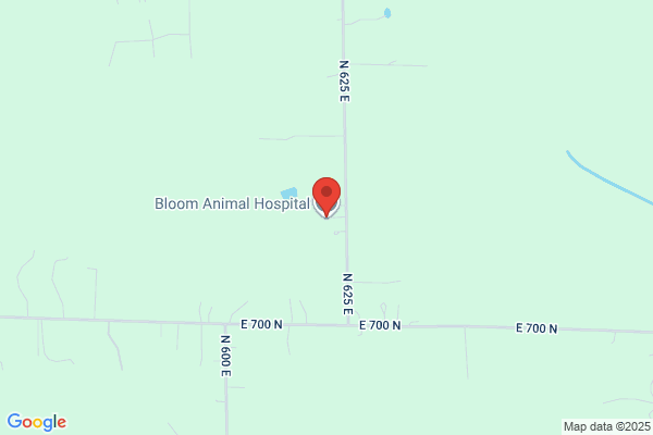 Bloom Animal Hospital