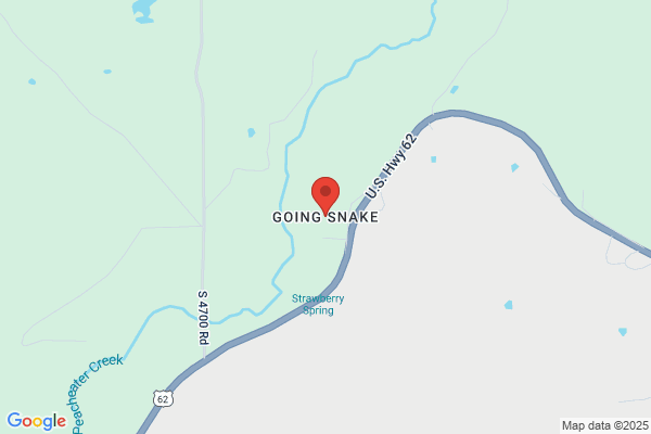 Goingsnake Youth Services Inc
