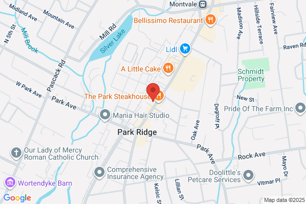 The Spine and Health Center PT