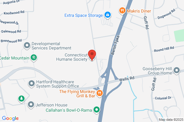 Connecticut Humane Society