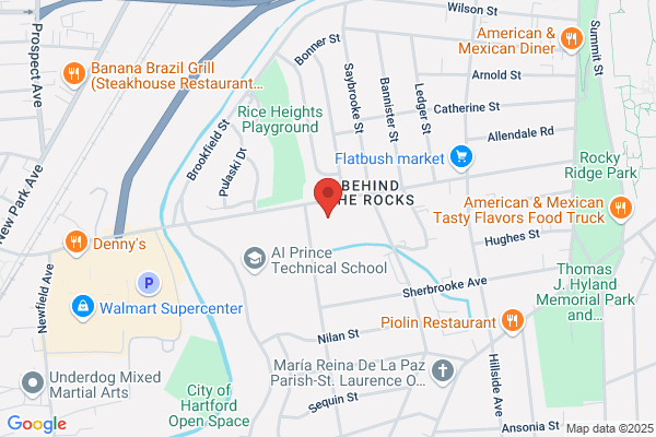Vinnie D's Painting Plus LLC