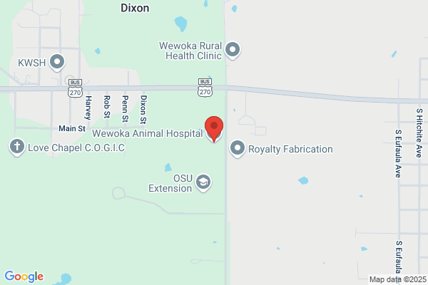 Wewoka Animal Hospital