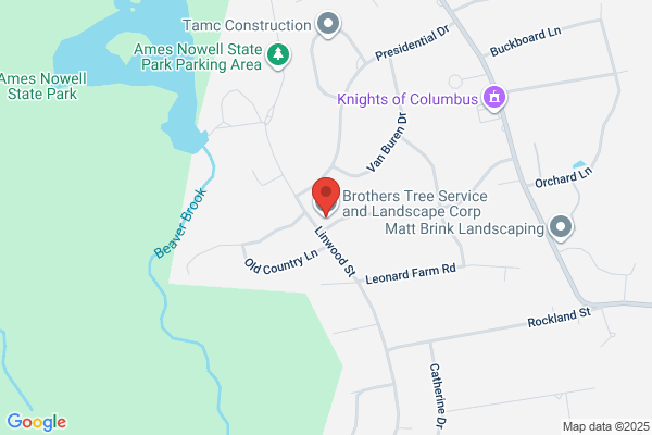 Brothers Tree Service and Landscape Corp.