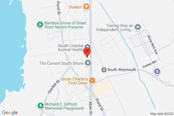 Richards Auto Service