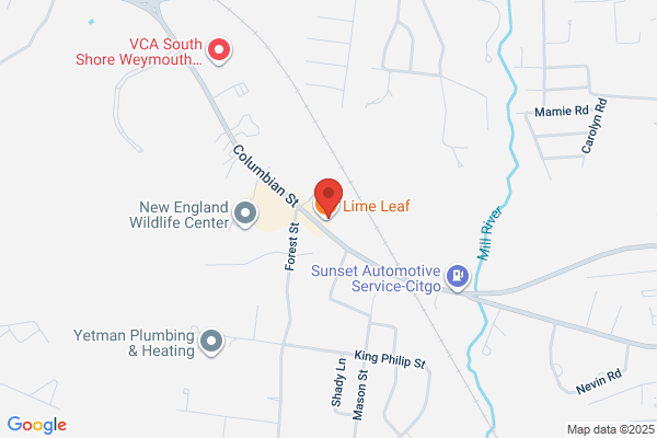 Woods South Shore Auto School Inc