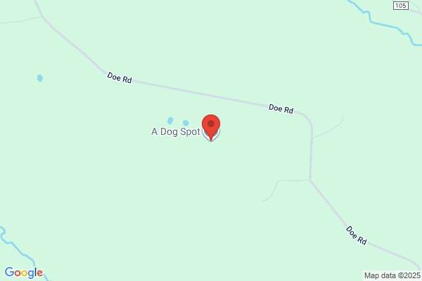 Lanesboro Dog Services