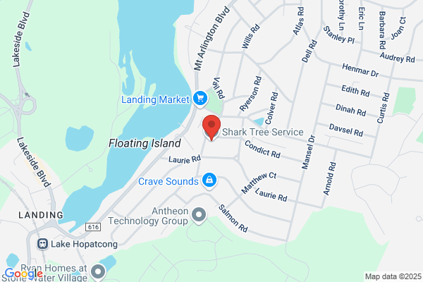 Shark Tree Service