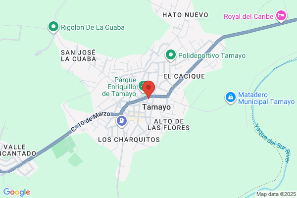 Tamayo