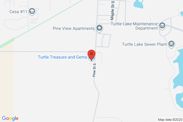 Turtle's Treasures