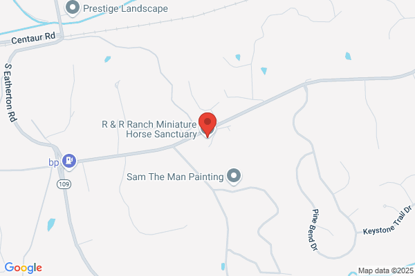R Little Ranch