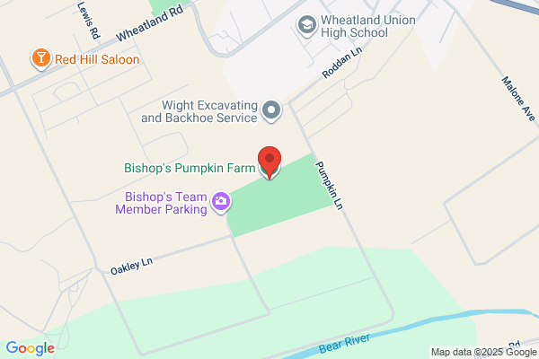 Bishops Pumpkin Farm