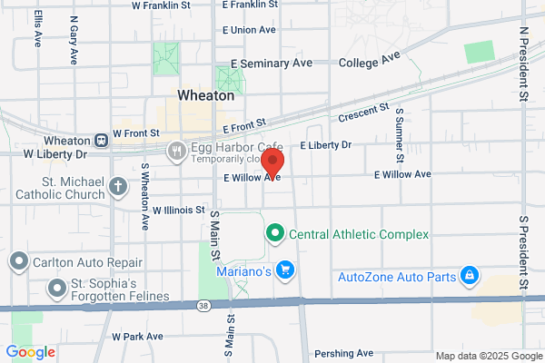 Metropolitan Family Services