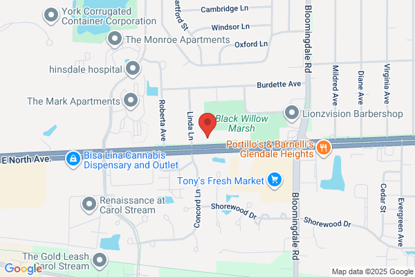 Physical Therapy Chiropractic Center