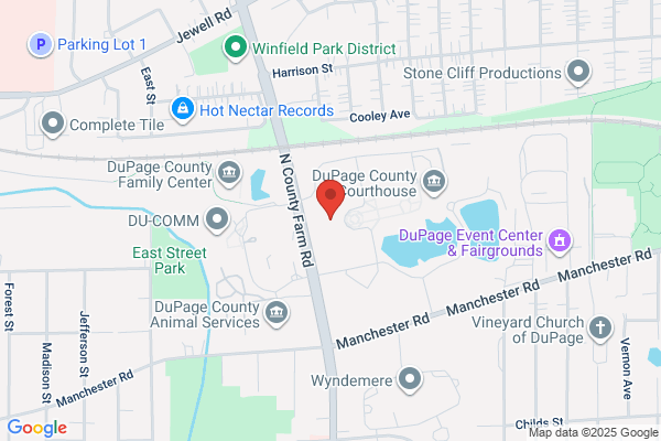 Dupage County of, County Board